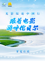 亚洲区视频在线观看